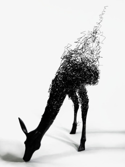 抽象鹿黑白抽象艺术鹿高清图片