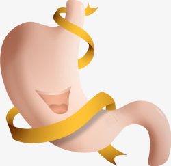 保护肠胃卡通保护肠胃宣传图高清图片