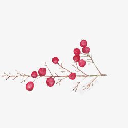 简约果实小清新简约水彩手绘红色果子树枝高清图片