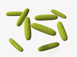 细菌学彩色细菌高清图片