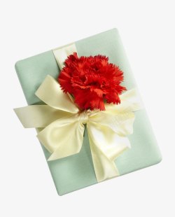 红色康乃馨礼物盒素材