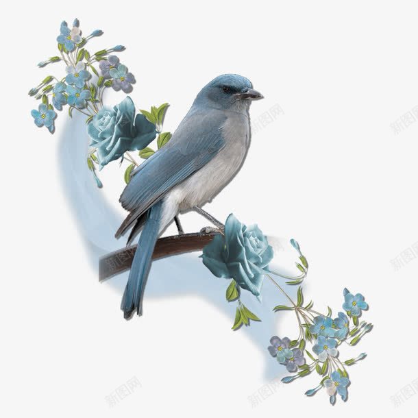 枝头上的蓝色小鸟png免抠素材_新图网 https://ixintu.com 枝头 玫瑰 花朵 花纹 鸟