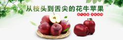水果主图天水花牛苹果淘宝banner高清图片