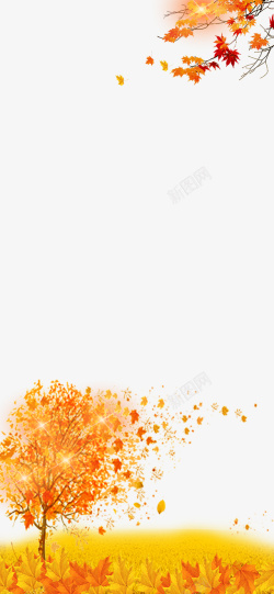 立秋海报素材二十四节气立秋枫叶主题边框高清图片