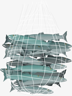 手绘渔网立体海鱼捕鱼渔网高清图片