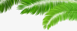 绿色热带植物树叶边框素材