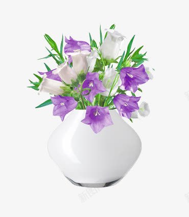 白色花瓶中的花png免抠素材_新图网 https://ixintu.com 家居 白色 紫色