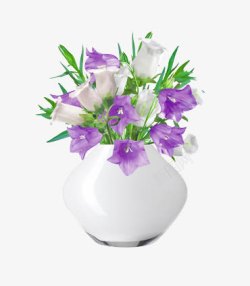 白色花瓶白色花瓶中的花高清图片
