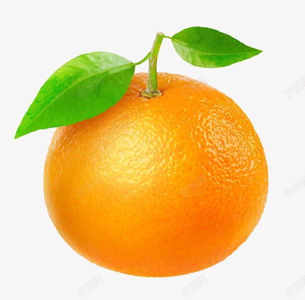 一个脐橙png免抠素材_新图网 https://ixintu.com 产品实物 水果 江西橙 绿叶 脐橙