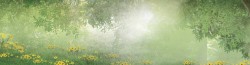 草圈模板下载树林花朵背景高清图片