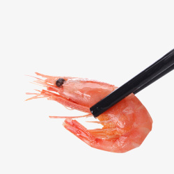 筷子夹着的北极虾用筷子夹起的北极虾高清图片
