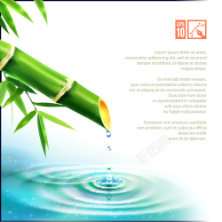 溶脂塑形广告竹子水滴美容美体养生背景高清图片