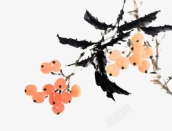 水墨枇杷树手绘水墨枇杷枝桠高清图片