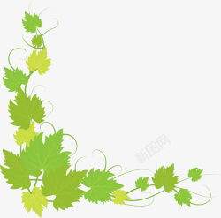 绿色清新春季树叶框架素材
