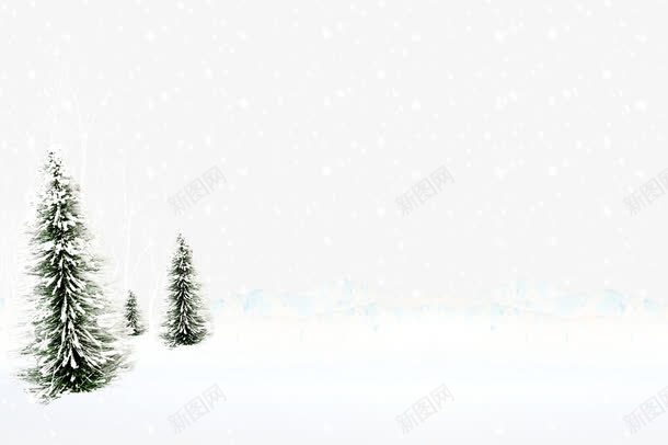 雪地落雪的树png免抠素材_新图网 https://ixintu.com 下雪场景 落满雪的树 雪地
