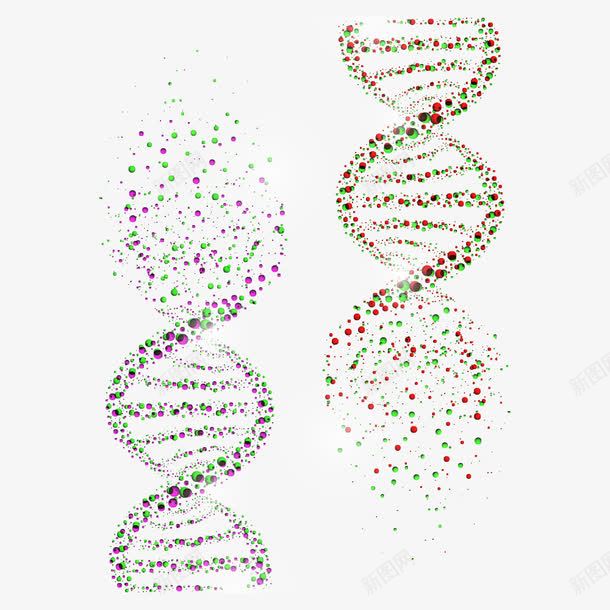 基因png免抠素材_新图网 https://ixintu.com DNA DNA遗传基因 人类基因 医疗科学 基因 干细胞 生物学 细胞