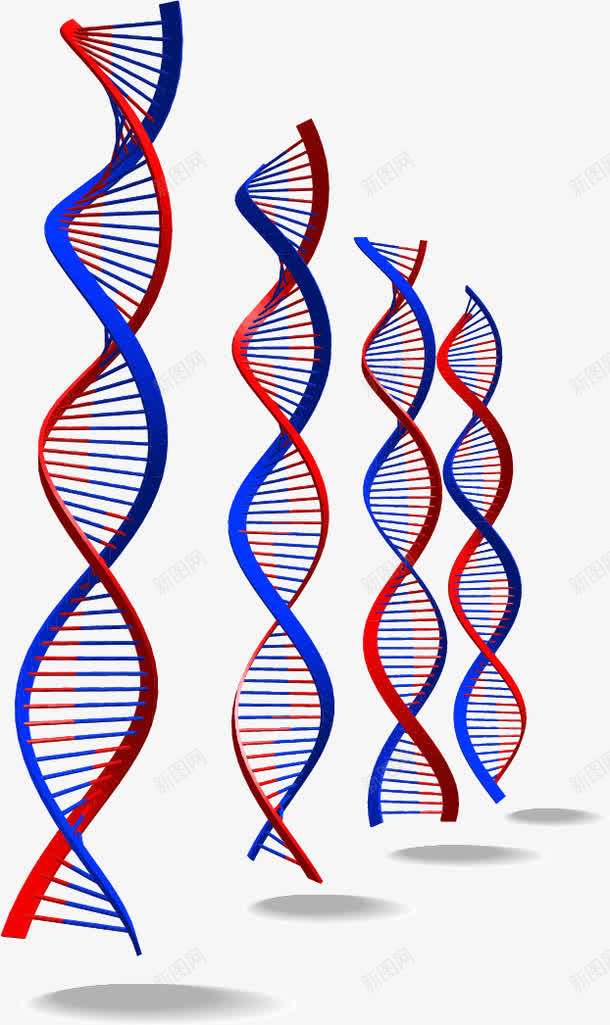 DNA螺旋图案png免抠素材_新图网 https://ixintu.com DNA DNA双螺旋结构图片 分子结构 染色体 生物 螺旋