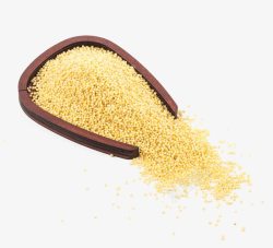 粮食小米木簸箕里的黄色小米高清图片