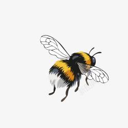 手绘昆虫PNG黑色蜜蜂高清图片