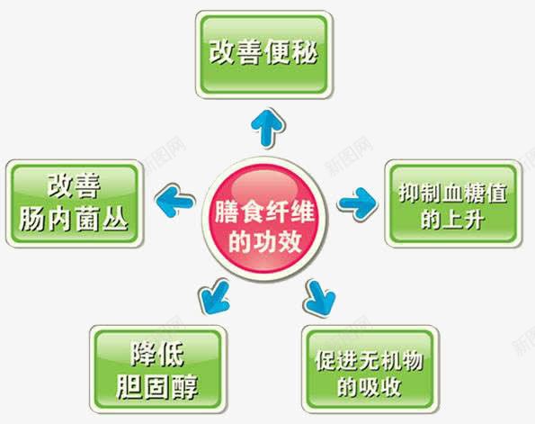 膳食纤维的功效png免抠素材_新图网 https://ixintu.com 信息图表 分类 总分结构 矢量素材 膳食纤维