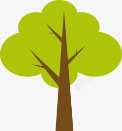 茁壮成长的树一颗绿色小树图高清图片