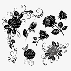 黑白花瓣黑白素描花朵高清图片