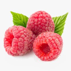树莓美味可口水果三个覆盆子高清图片