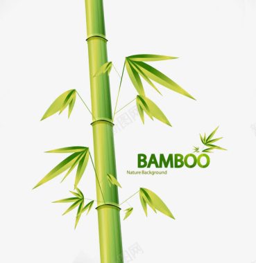 竹子手绘竹叶图标图标