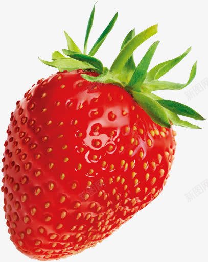 红色草莓新鲜可口png免抠素材_新图网 https://ixintu.com 健康 免扣 合成 新鲜水果 水果 水果图案 水果图片 红色 美食 草莓 营养 食物图片 高清