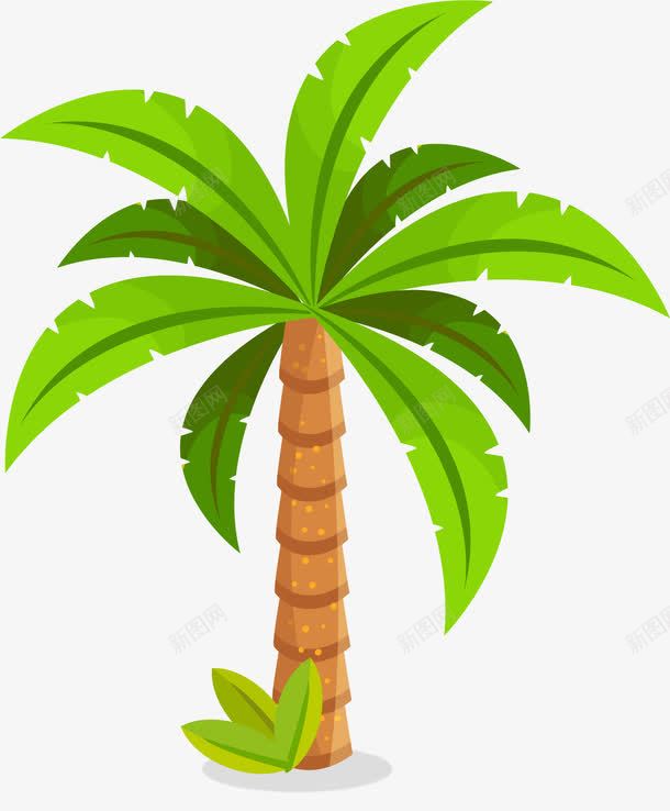 手绘椰子树png免抠素材_新图网 https://ixintu.com 俯视椰子树 卡通 叶子 手绘 椰子树 沙滩 泥色 绿色
