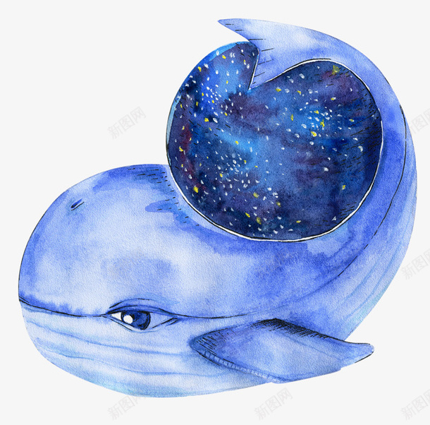 水彩海豚png免抠素材_新图网 https://ixintu.com 卡通 彩色 手绘 星球 水彩 海豚 蓝色 装饰