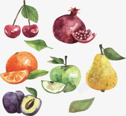 彩绘水果精美的水彩手绘水果矢量图高清图片
