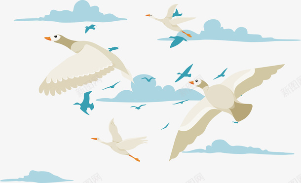 空中飞翔的白色天鹅png免抠素材_新图网 https://ixintu.com 天鹅 天鹅群 春天 矢量png 空中鸟群 飞翔的天鹅
