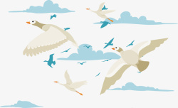 空中鸟群空中飞翔的白色天鹅高清图片