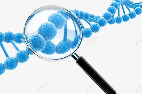 生物基因检测png免抠素材_新图网 https://ixintu.com 基因检测 放大镜 结构分子 蓝色