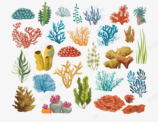 五颜六色的珊瑚和藻类png免抠素材_新图网 https://ixintu.com 海洋植物 海藻 藻植物