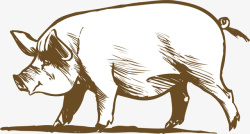 农场猪手绘家养猪猪蹄透明高清图片