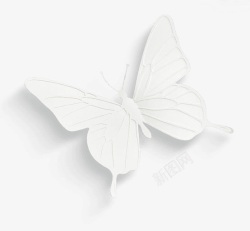白色纸片蝴蝶高清图片