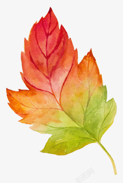 手绘水彩渐变的树叶矢量图素材