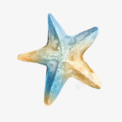 卡通装饰手绘海洋生物海报素材