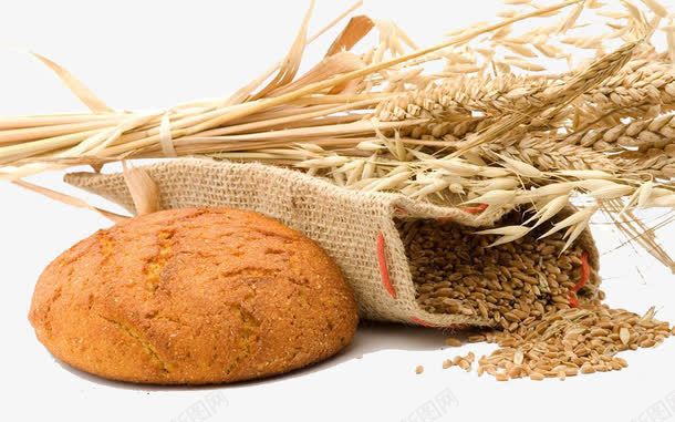 麦子做的面包小麦米png免抠素材_新图网 https://ixintu.com 纯天然 绿色 面包 麦子 麦浪