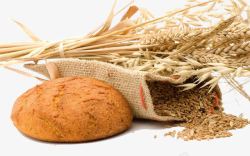 麦子做的面包小麦米素材