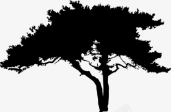 一株树干大树剪影图标高清图片