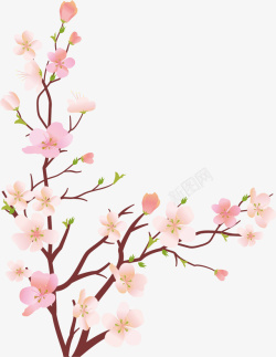 简单而又美丽手绘粉色美丽桃花矢量图高清图片