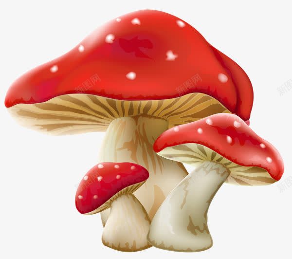 红色蘑菇png免抠素材_新图网 https://ixintu.com 卡通 手绘 红色 蘑菇