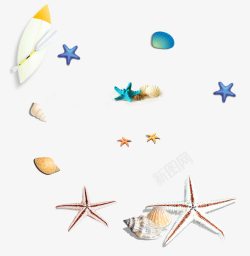 海洋主题背景手绘贝壳高清图片