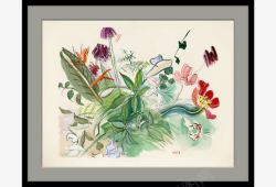 中堂画素材手绘装饰画素描植物装饰画高清图片