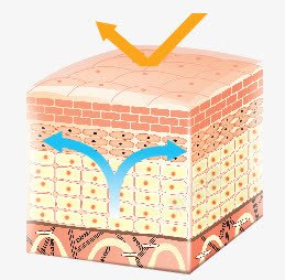 粉色手绘卡通肌肤图标png_新图网 https://ixintu.com 卡通 图标 粉色 肌肤