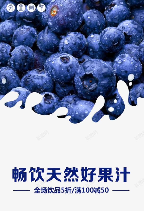 蓝莓png_新图网 https://ixintu.com 宣传单 植物 水果 海报 食物 食物广告设计