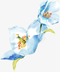 手绘水彩绘画蓝色花卉绿叶素材